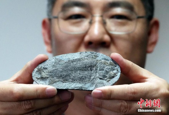 D623xоTչʾ˴оlFľs2.49|ġB~ʯģʽ˱¾Wӛ OԷ z