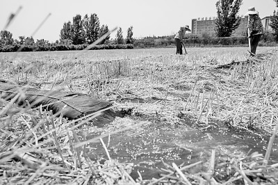 BՁSmߜֵ؅^ڰlչDɽ|ʡʳͨ^{Yϵk벢e Al