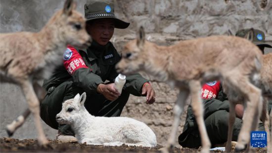 ᬔh_ľoվҰTڽoι̣713Քz