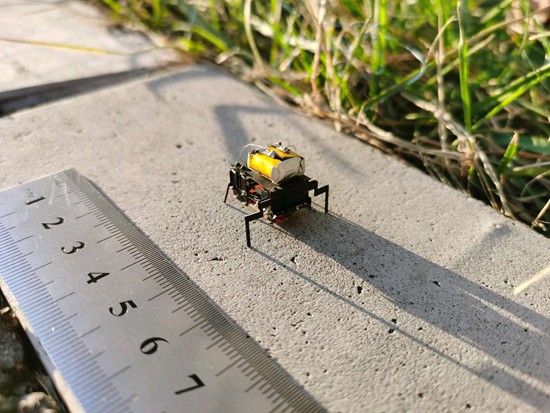 ΢͙Cδ挍xһҰƄ΄պWD