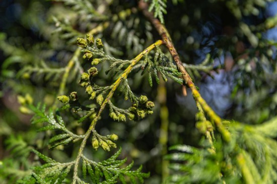   202487λؑc_݅^Ȫ悘@ؑcѩɽҼȻo^°طлؚw^Ĳ°ѽ_ʼYN