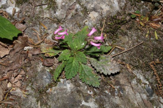   2022616ؑcꎗlXҼȻo^lFֲ·NϪR̦AlY z