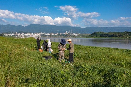  202375ЇƌWԺ{^ˮchоվЇƌWԺɶɽˆTڎ^䎧_չPOyo˙CƬ