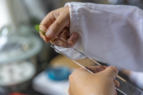   202487λؑc_݅^Ȫ悘@ؑcѩɽҼȻo^°طлˆTڌҌ°طNMиϵ{