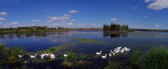 AﰢƖ|رoMͣЪֳZr_30ֻ Ī܊/z