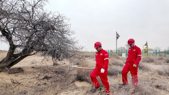 LcKK6^Աoɚ⹤ѲogЪSoŘ䡰ڸm x/z