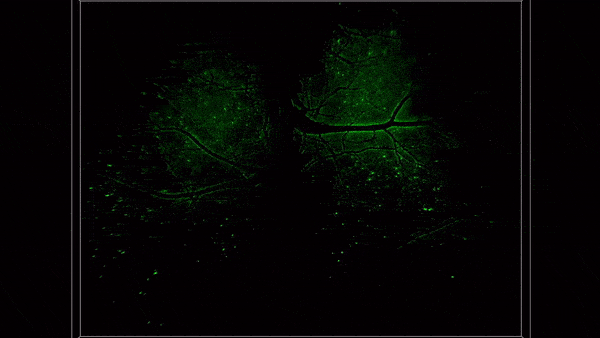 СȫXƤӷS񽛳AW΢Ź̖