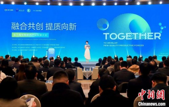 會議現場。主辦方 供圖