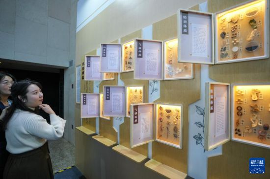 12月3日，在2024世界傳統醫藥大會的中醫藥體驗區，與會嘉賓了解中醫藥養生知識。新華社記者 鞠煥宗 攝