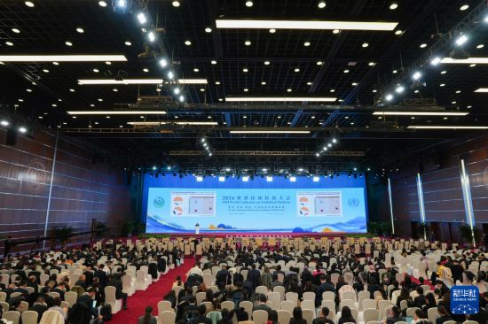 這是12月3日拍攝的2024世界傳統醫藥大會全體大會現場。新華社記者 鞠煥宗 攝