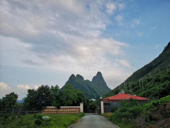   中國科學院環江喀斯特生態系統觀測研究站。中國科學院供圖