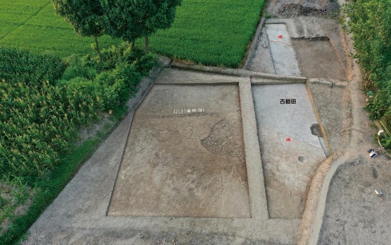 圖為李家崗遺址北部古稻田的灌溉溝及田塊。新華社發