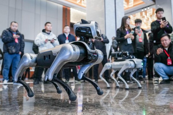 2025年2月14日，2025年蘇州市“人工智能+”創新發展推進大會暨人工智能賦能新型工業化深度行（蘇州站）活動舉行，觀眾在活動現場觀看機器狗表演。新華社記者 李博 攝