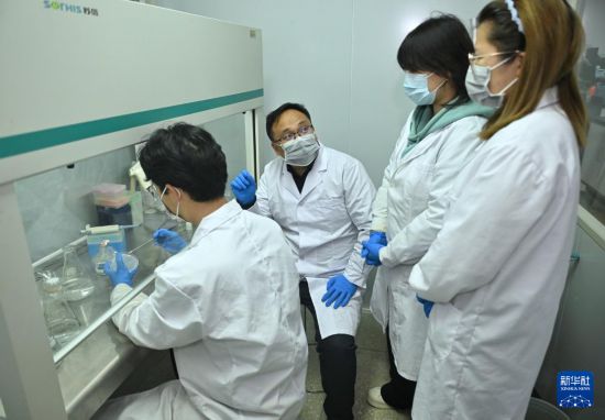 3月18日，在中國科學院成都生物研究所實驗室，合成微生物組與污水資源化創新團隊科研人員在交流實驗方案。新華社記者 劉坤 攝