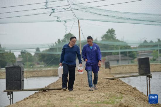  在四川省眉山市彭山區，譚周亮（左）在與當地一名水產養殖戶交流（2022年4月13日攝）。 新華社記者 劉坤 攝