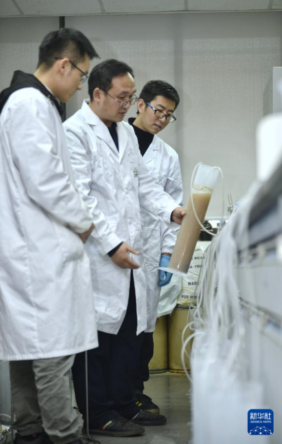  在中國科學院成都生物研究所實驗室，合成微生物組與污水資源化創新團隊科研人員在商討實驗方案（2021年12月6日攝）。  新華社記者 劉坤 攝