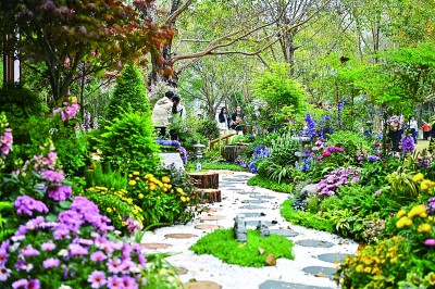 游客在廣西南寧市體驗“療愈花園”。新華社發