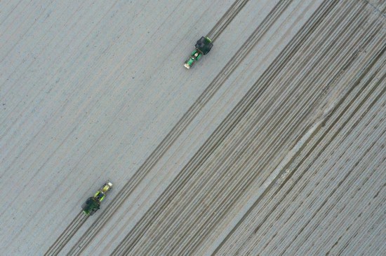 在新疆巴音郭楞蒙古自治州焉耆回族自治縣四十里城子鎮，農戶操作移栽機在農田里移栽番茄苗（4月26日攝，無人機照片）。新華社記者丁磊 攝