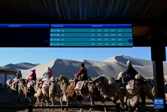 5月10日，在甘肅省敦煌市鳴沙山月牙泉景區駱駝乘騎區，游客有序乘騎駱駝。新華社發（張曉亮 攝）