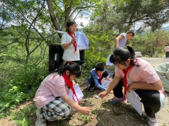 北京市門頭溝區清水學校學生在觀察螞蟻。受訪者供圖