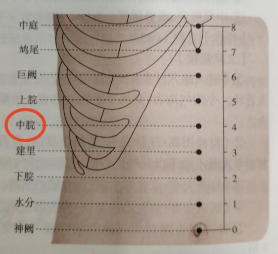 圖中標紅中脘穴。（受訪者供圖）