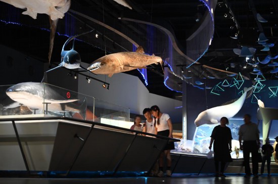游客在國家海洋博物館游覽。新華社記者趙子碩 攝