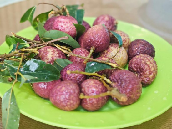 這是解凍后的廣州鮮匯冷凍技術有限公司加工的“凍眠”荔枝。新華社發