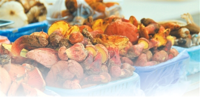 南華國際野生菌交易市場售賣的野生菌。