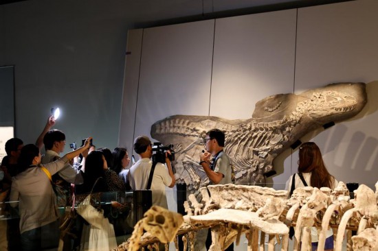 “龍吟九州·中國恐龍大展”展覽現場，工作人員（右二）向參觀者講解。新華社記者 方喆 攝