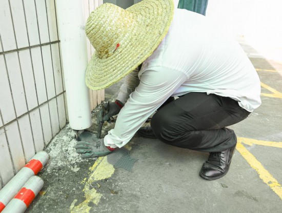 7月25日，工作人員在廣州中醫藥大學順德醫院為下水道加裝防蟲網。新華社記者 肖恩楠 攝