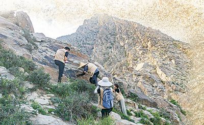 工作人員在賀蘭山巖畫遺址區進行2025年度巖畫復查。