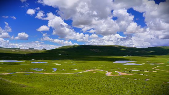 這是7月29日拍攝的查旦濕地。新華社記者 邱婧熠 攝