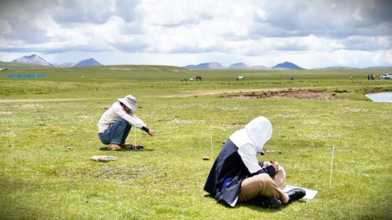 7月29日，科考隊員正監測土壤的實時溫度和濕度。新華社記者 邱婧熠 攝