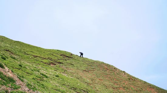 孫寶洋在一處山坡上采集土壤樣本。新華社記者 邱婧熠 攝