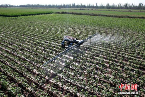 機器人正在進行植保作業。陳健生 攝