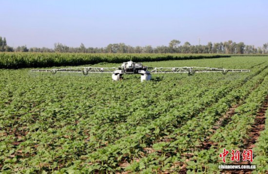 作業現場。陳健生 攝