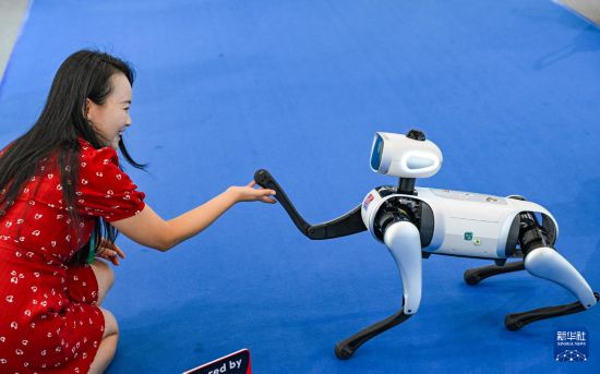 9月4日，嘉賓在2025世界智能產業博覽會會場與智能伴隨機器人互動。新華社記者 王全超 攝