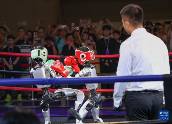 這是9月5日在2025世界智能產業博覽會上拍攝的人形機器人拳擊比賽。     新華社記者 陳誠 攝