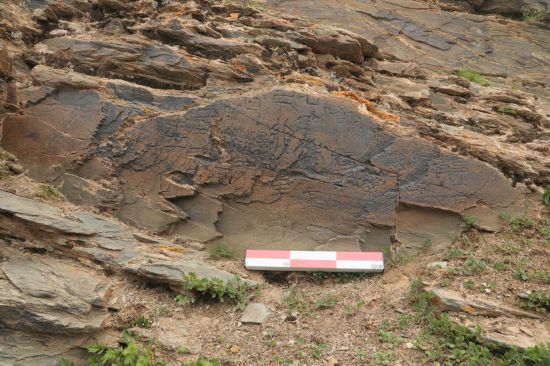 文物考古工作者于2023年7月在青海省瑪多縣扎陵湖畔對尕日塘秦刻石進行現場考察時拍攝的該刻石遺跡照片。新華社發