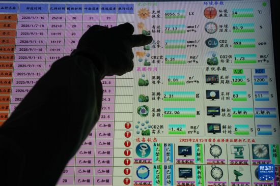 9月18日，技術員通過屏幕監控大棚內蔬菜生長情況。