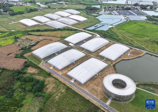 這是9月18日拍攝的安徽霧耘農業科技有限公司蔬菜大棚（無人機照片）。