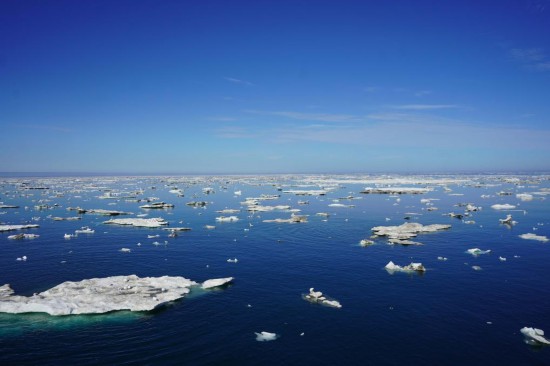 這是2023年7月25日從“雪龍2”號極地科考破冰船拍攝的北極圈內的浮冰。新華社記者 魏弘毅 攝