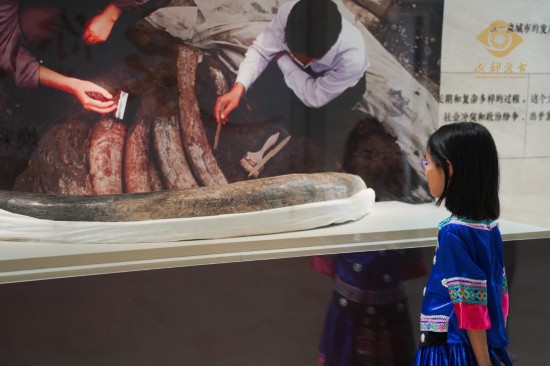 在成都考古中心展出的象牙（資料圖片）。新華社發