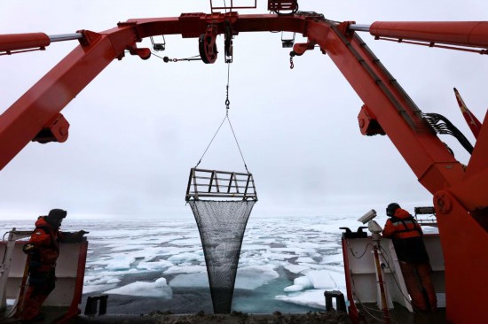圖為科考隊員正在回收底拖網。新華社記者劉詩平 攝