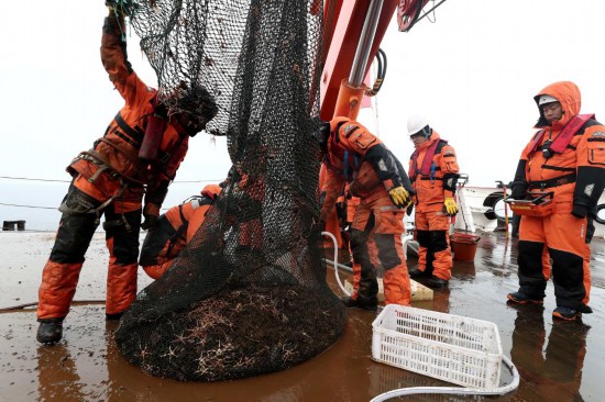 圖為科考隊員正在回收底拖網并檢視底棲動物樣品。新華社記者劉詩平 攝
