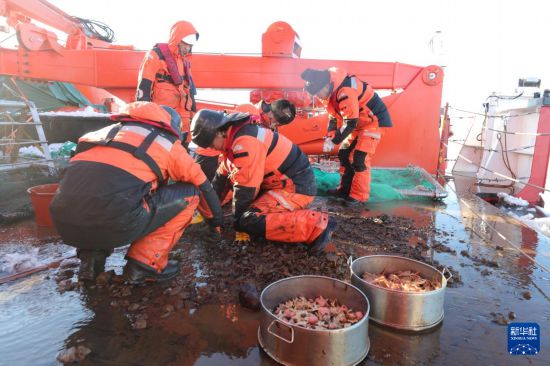 科考隊員在處理底拖網帶回的底棲生物樣品（2025年9月10日攝）。新華社記者 劉詩平 攝