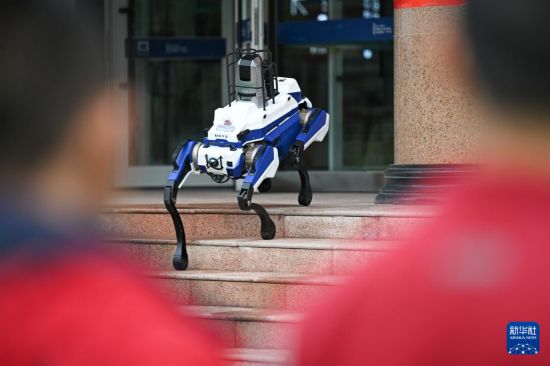 10月14日，新疆生產建設兵團第一中學學生觀看智能機器狗進行復雜運動。新華社記者 王菲 攝