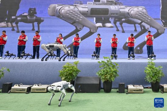 10月13日，新疆生產建設兵團第一中學學生在科技節開幕式上操控智能機器狗。     新華社記者 王菲 攝