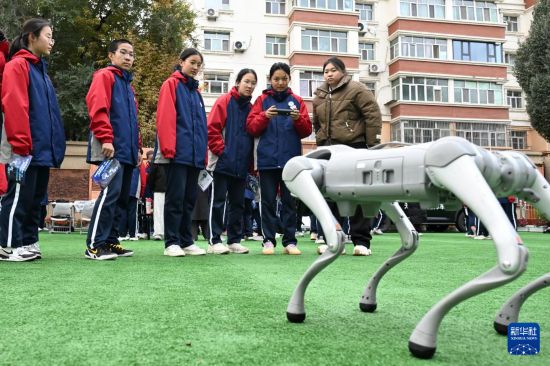 10月14日，新疆生產建設兵團第一中學學生在工作人員的指導下體驗遙控智能機器狗。     新華社記者 王菲 攝