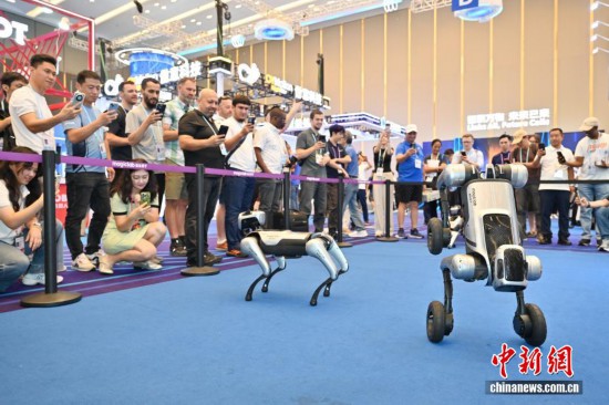 10月19日，第138屆廣交會服務機器人專區一展位的機器狗“炫技”，吸引不少境外采購商觀看。中新社記者 陳楚紅 攝